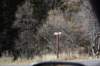 dsc_2893_fs_small.jpg