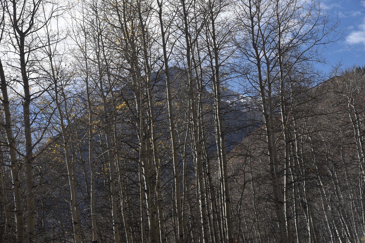 dsc_2915_fs.jpg