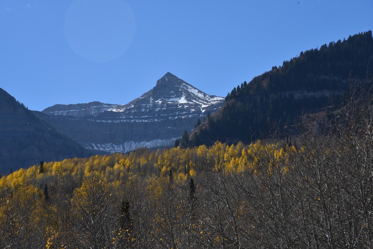 dsc_2921_fs.jpg