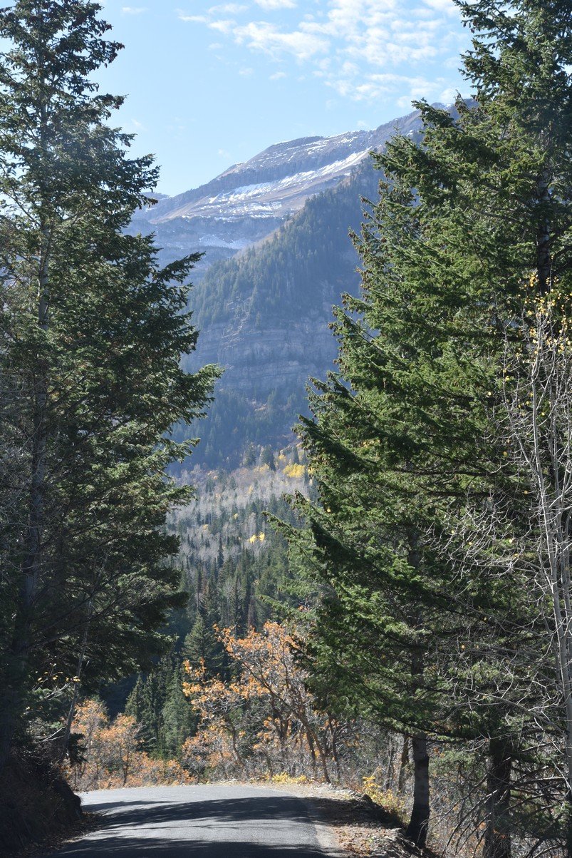dsc_2930_fs.jpg