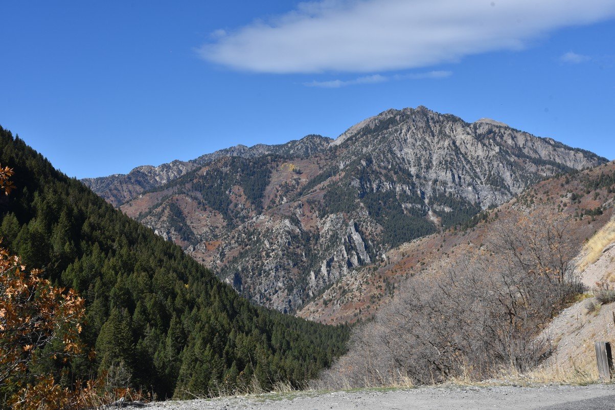 dsc_2931_fs.jpg