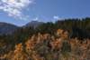 dsc_2934_fs_small.jpg