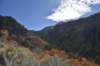 dsc_2941_fs_small.jpg