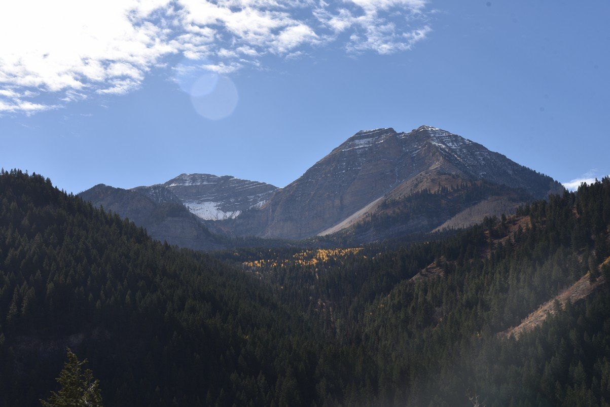 dsc_2949_fs.jpg