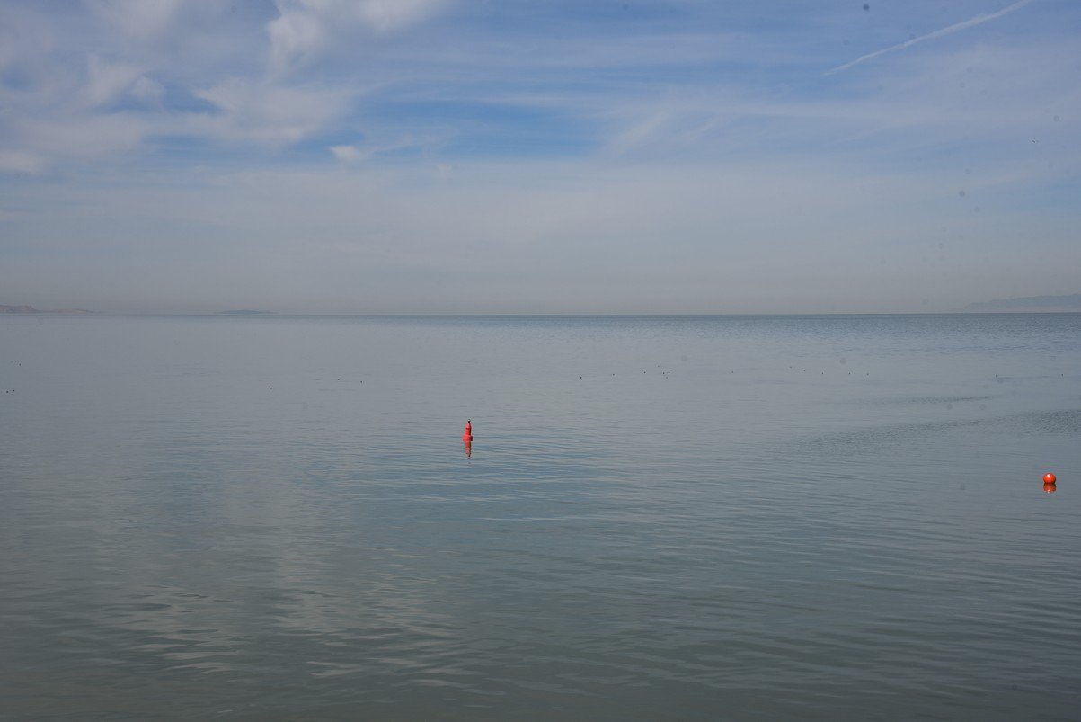 dsc_3002_fs.jpg