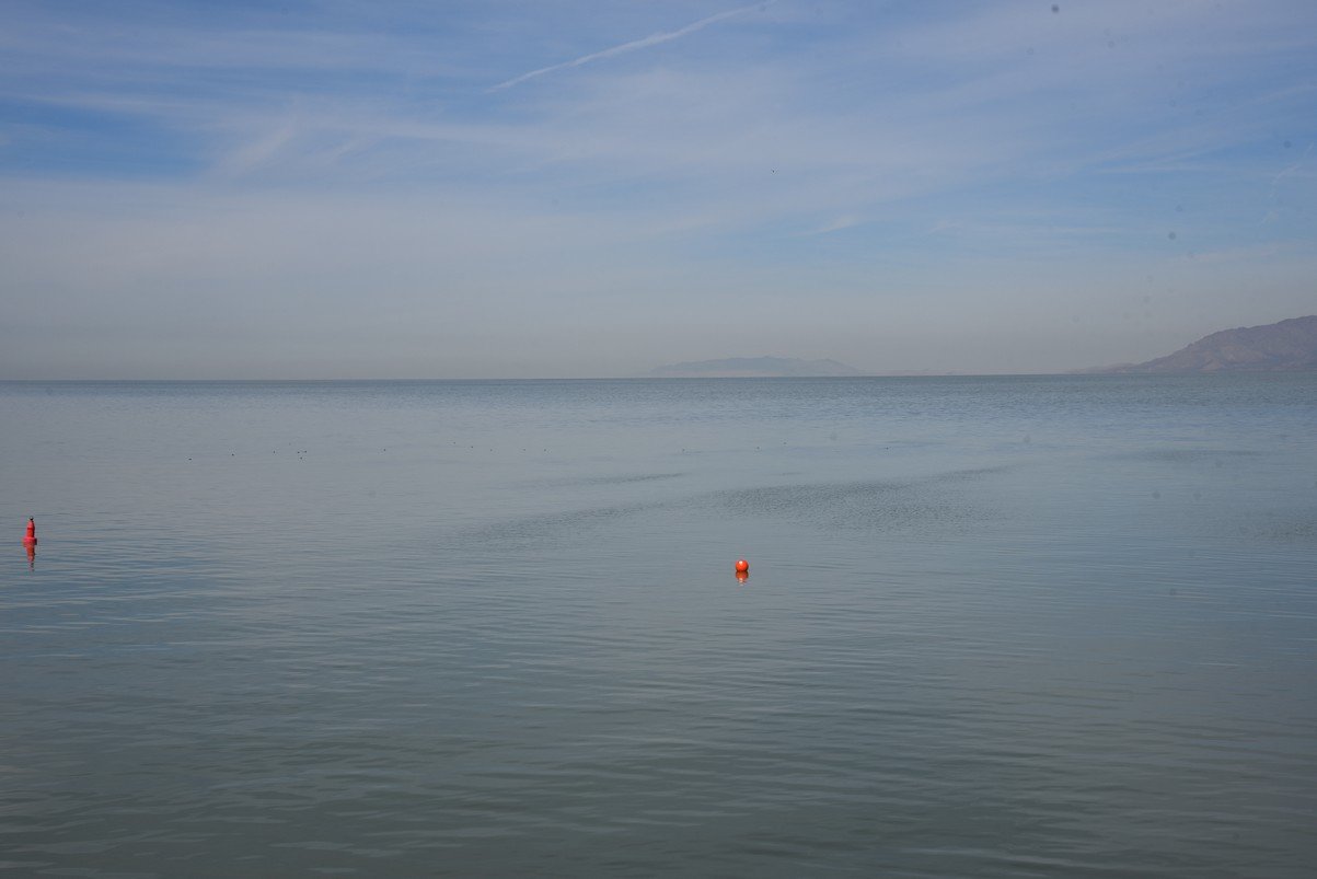 dsc_3003_fs.jpg