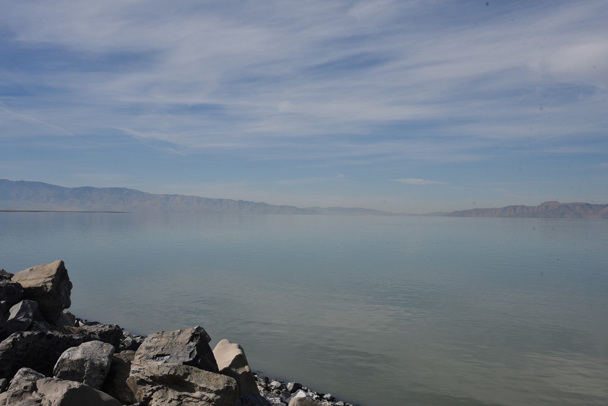 dsc_3010_fs.jpg
