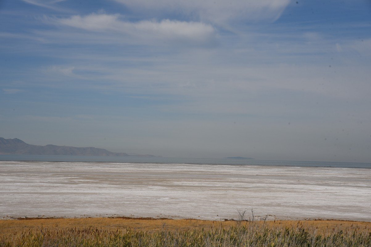 dsc_3032_fs.jpg