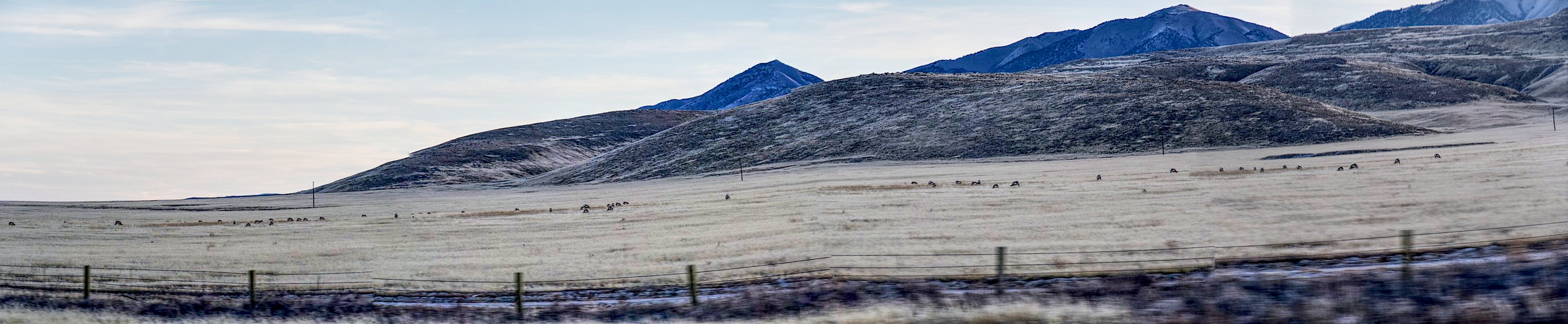dsc_3096_fs_99_affopatone.jpg