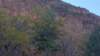 _162903_fs_small.jpg