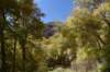 dsc_2282_fs_small.jpg