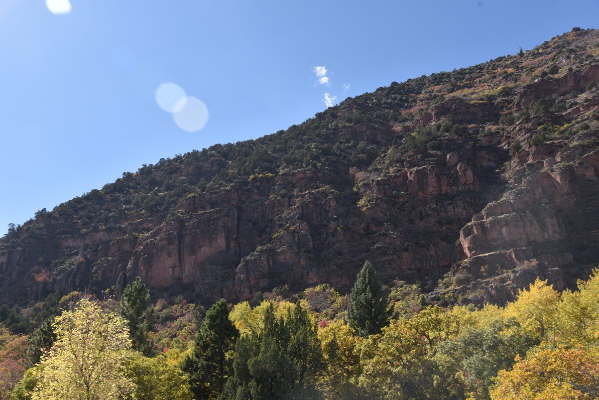dsc_2287_fs.jpg