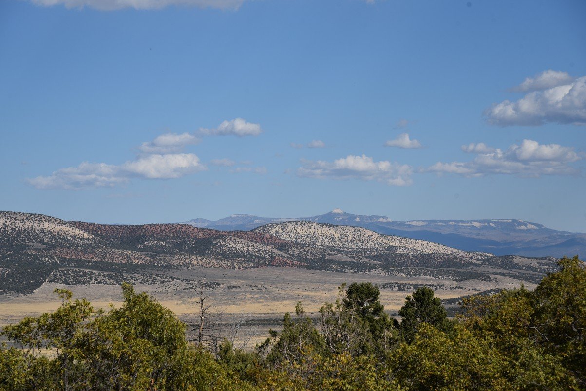 dsc_2307_fs.jpg