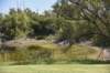 dsc_8578_fs_small.jpg