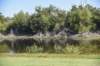 dsc_8579_fs_small.jpg