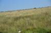 dsc_8586_fs_small.jpg