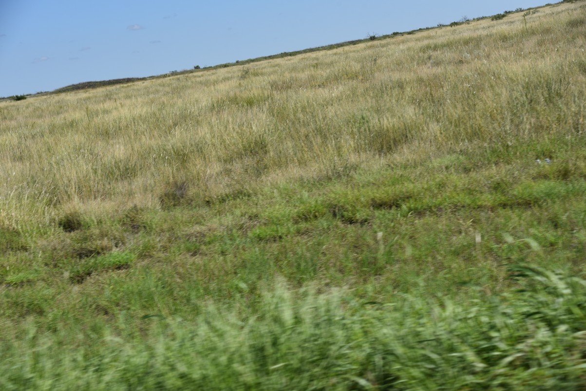 dsc_8587_fs.jpg