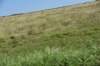 dsc_8587_fs_small.jpg