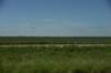dsc_8588_fs_small.jpg