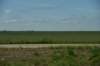 dsc_8589_fs_small.jpg