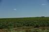 dsc_8590_fs_small.jpg