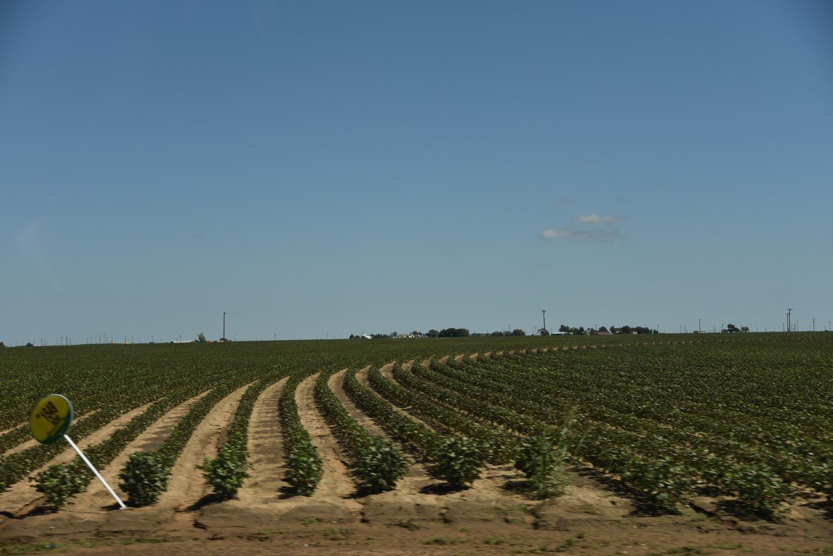 dsc_8591_fs.jpg