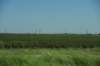 dsc_8619_fs_small.jpg