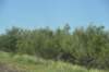 dsc_8664_fs_small.jpg