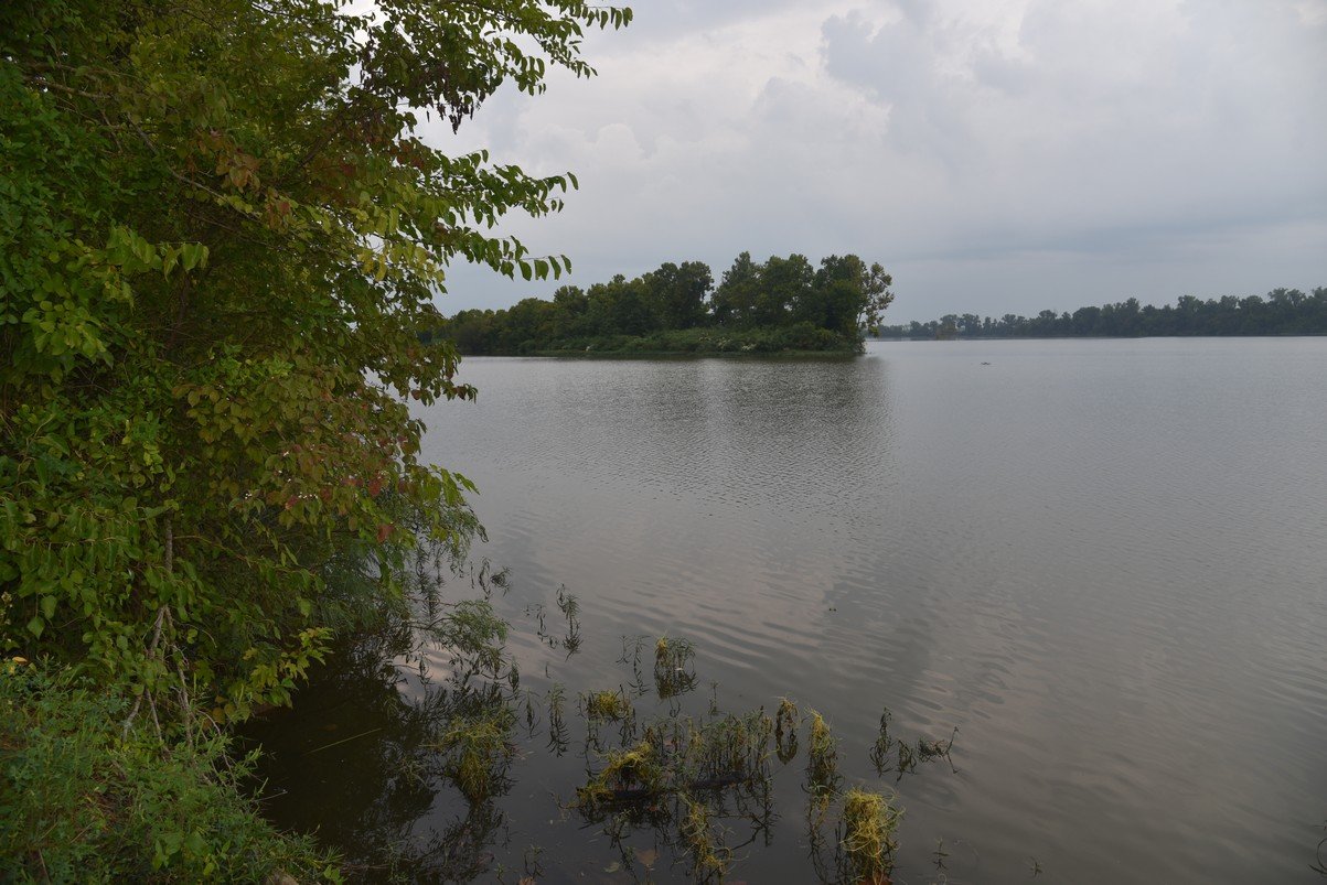 dsc_6200_fs.jpg