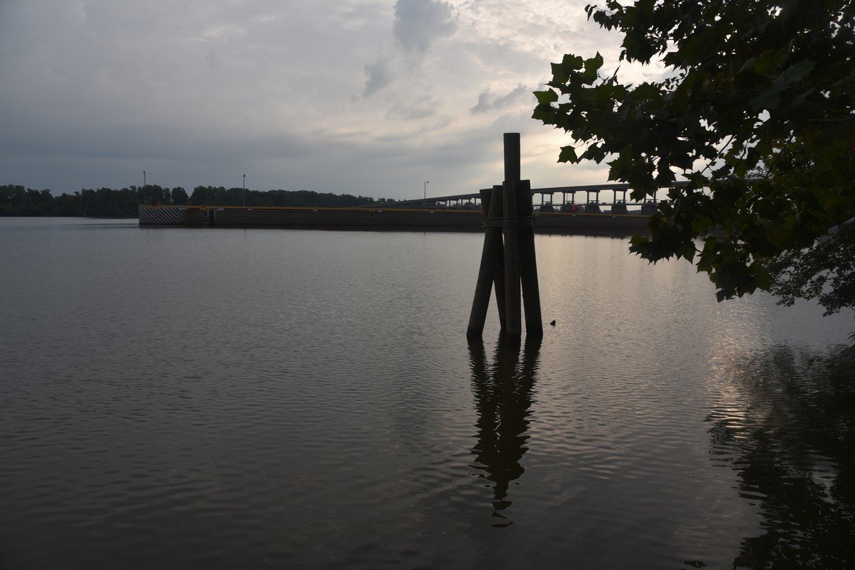dsc_6204_fs.jpg