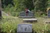 dsc_6390_fs_small.jpg