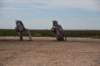 dsc_8757_fs_small.jpg