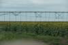dsc_8861_fs_small.jpg