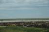 dsc_8868_fs_small.jpg