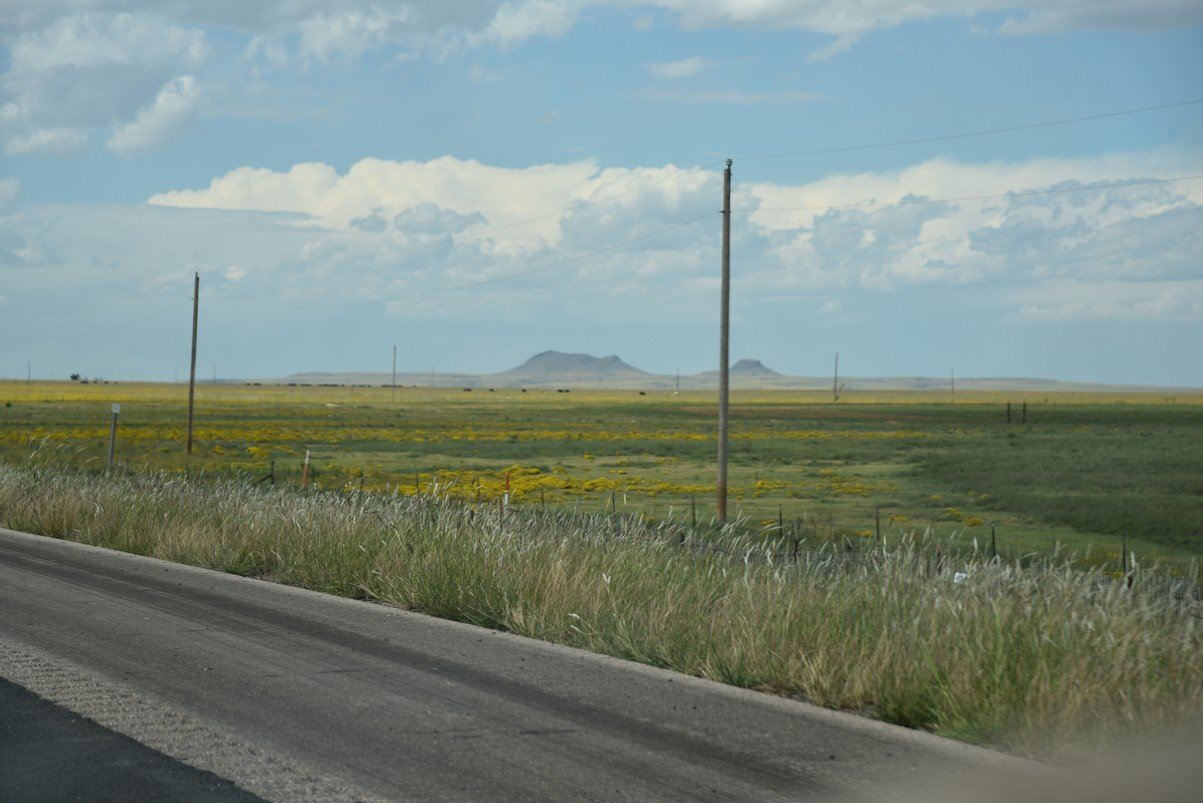 dsc_8890_fs.jpg