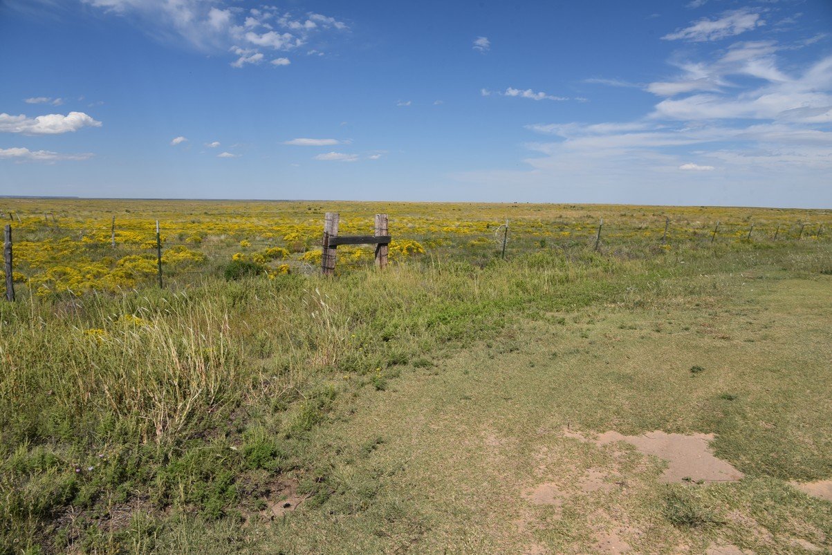 dsc_8932_fs.jpg