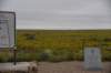 dsc_9114_fs_small.jpg