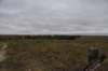 dsc_9293_fs_small.jpg