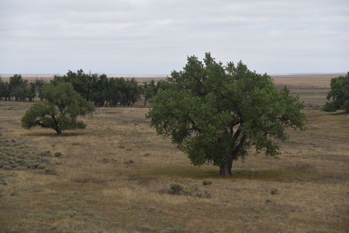 dsc_9349_fs.jpg