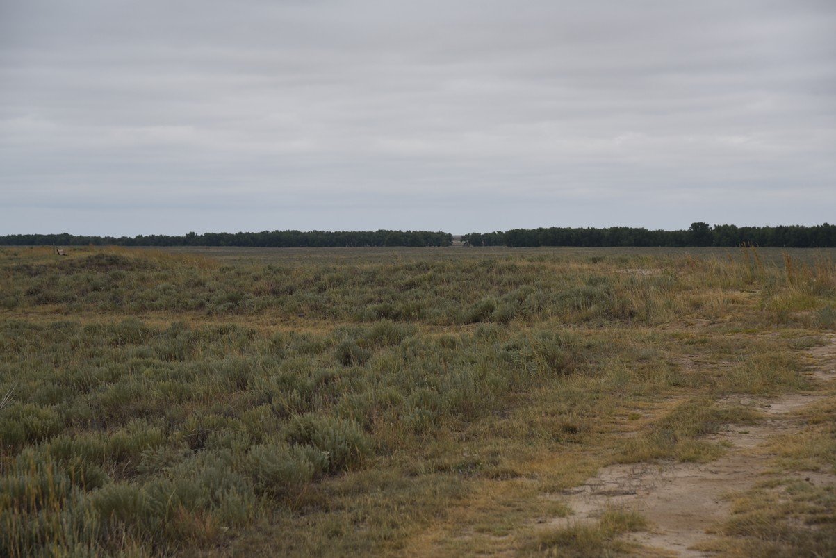 dsc_9354_fs.jpg