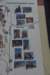 dsc_9463_fs_small.jpg
