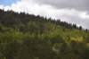 dsc_9817_fs_small.jpg