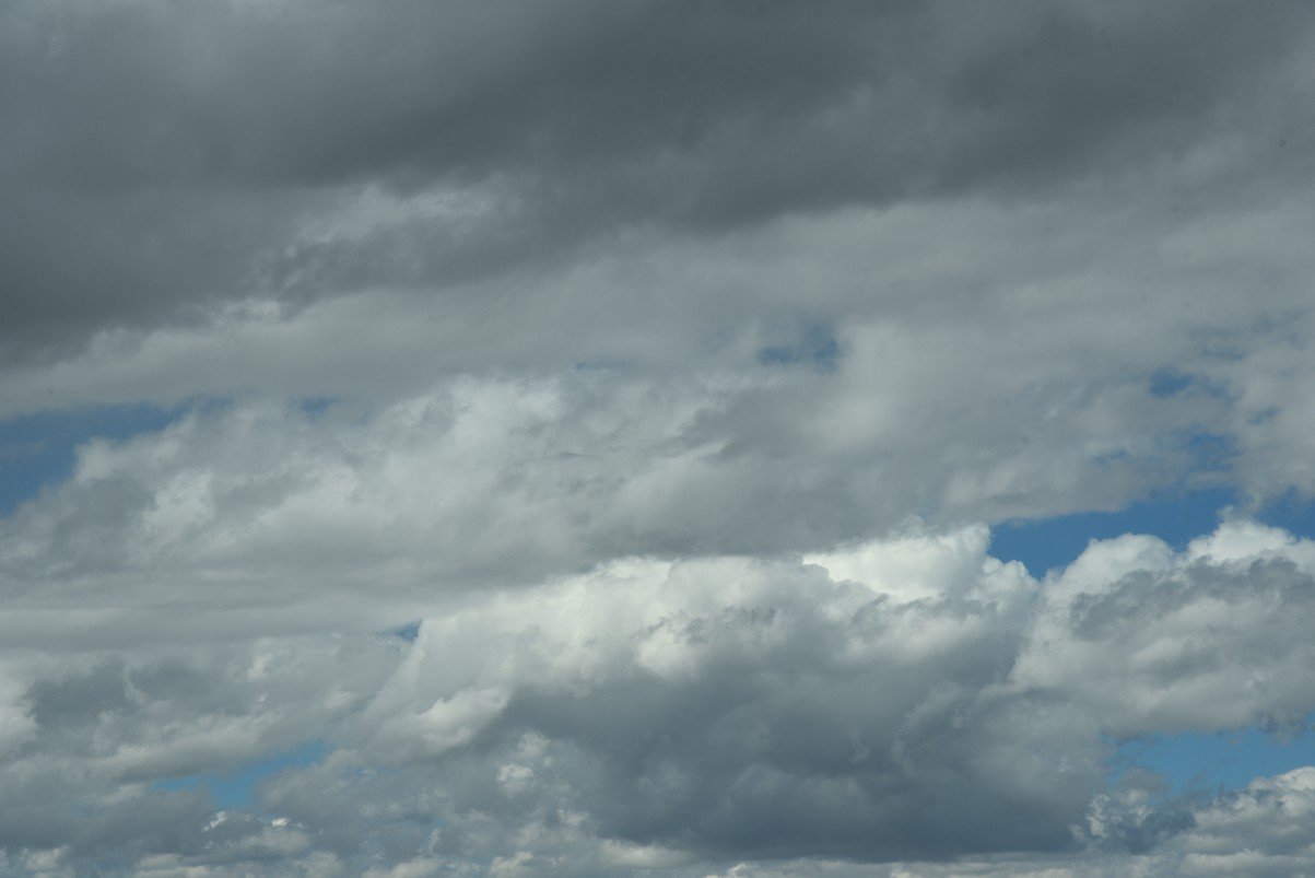 dsc_9865_fs.jpg