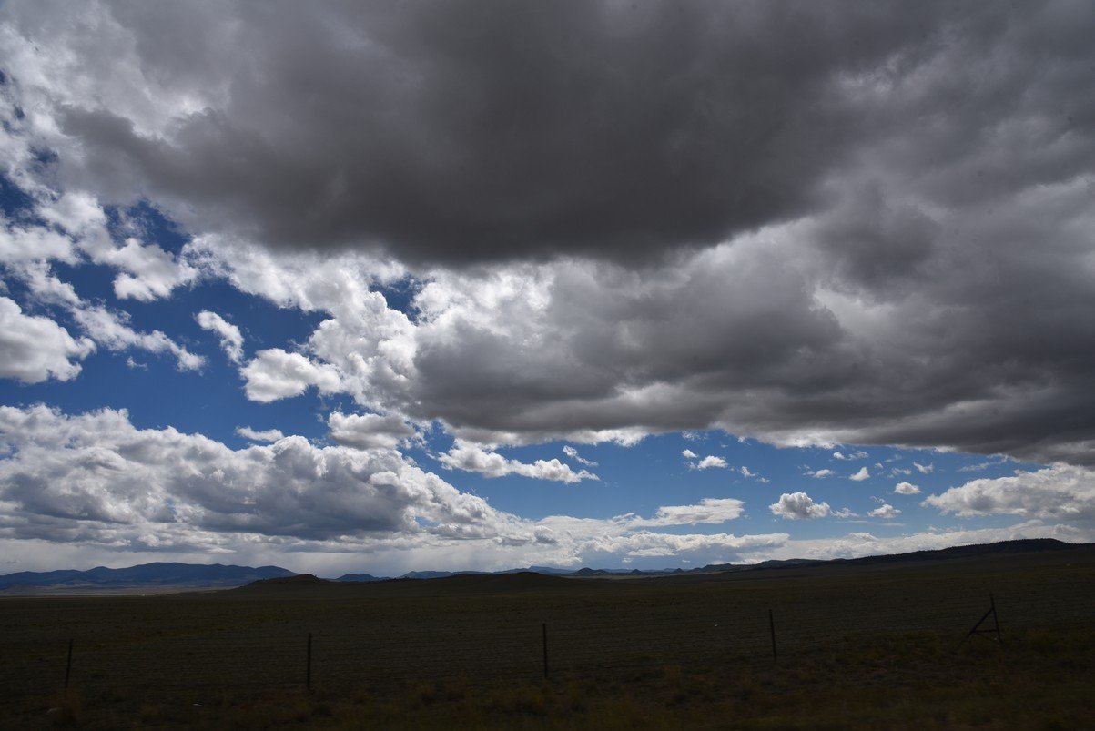 dsc_9876_fs.jpg