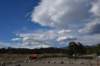 dsc_9969_fs_small.jpg