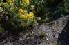 dsc_0076_fs_small.jpg