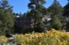 dsc_0077_fs_small.jpg