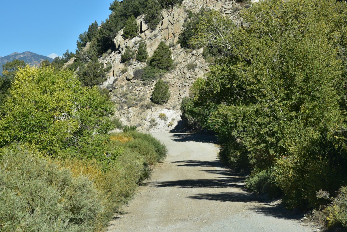dsc_0080_fs.jpg