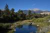 dsc_0081_fs_small.jpg