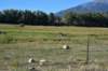 dsc_0101_fs_small.jpg